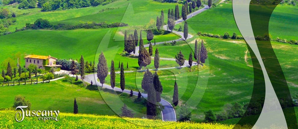 Tuscany Experts