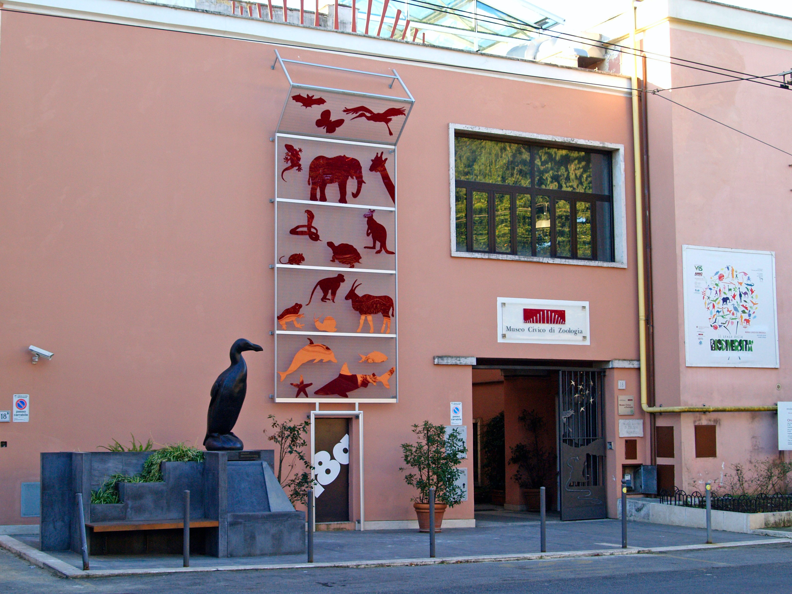 Museo Civico di Zoologia