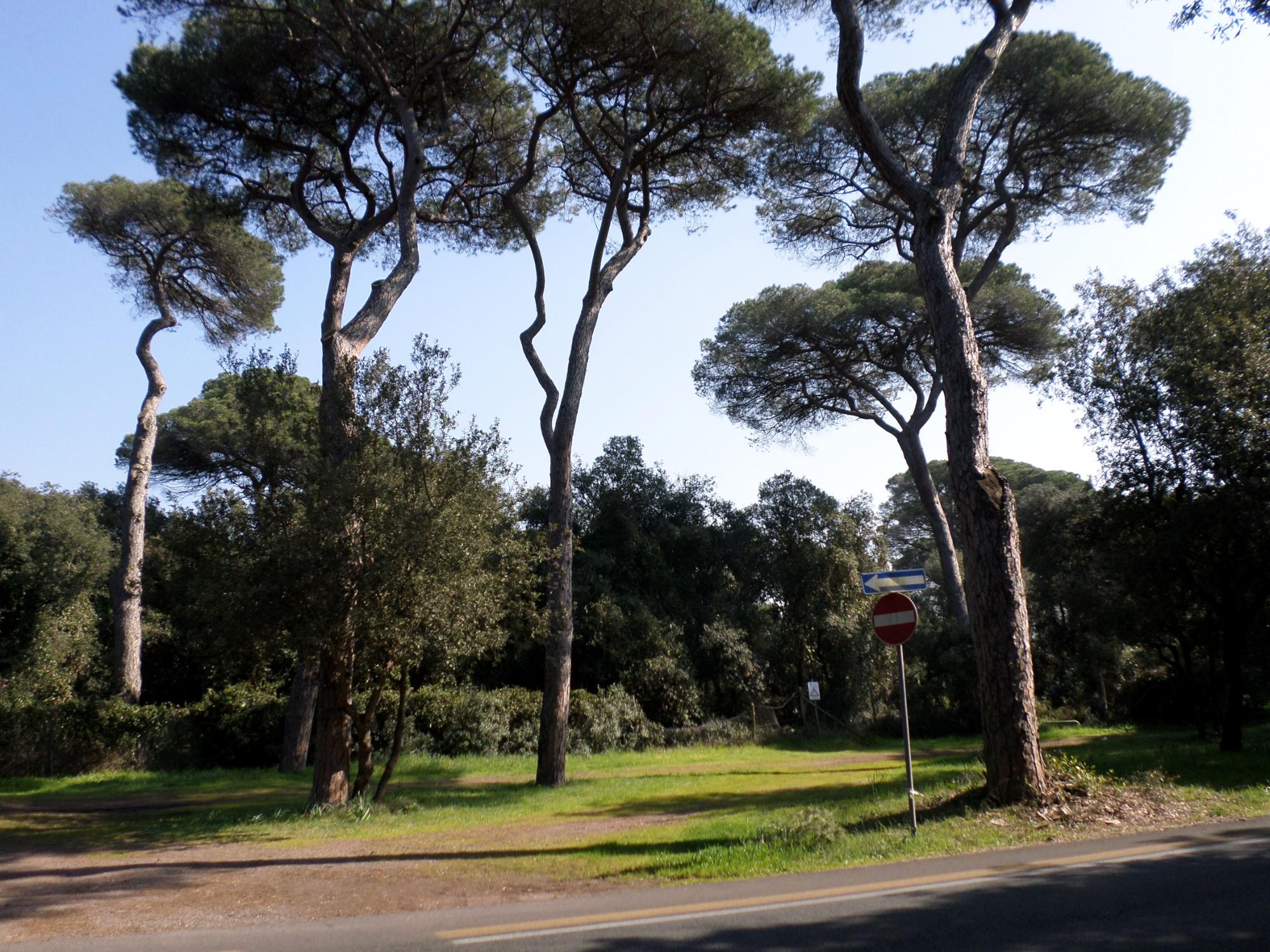 Parco Urbano Pineta di Castel Fusano