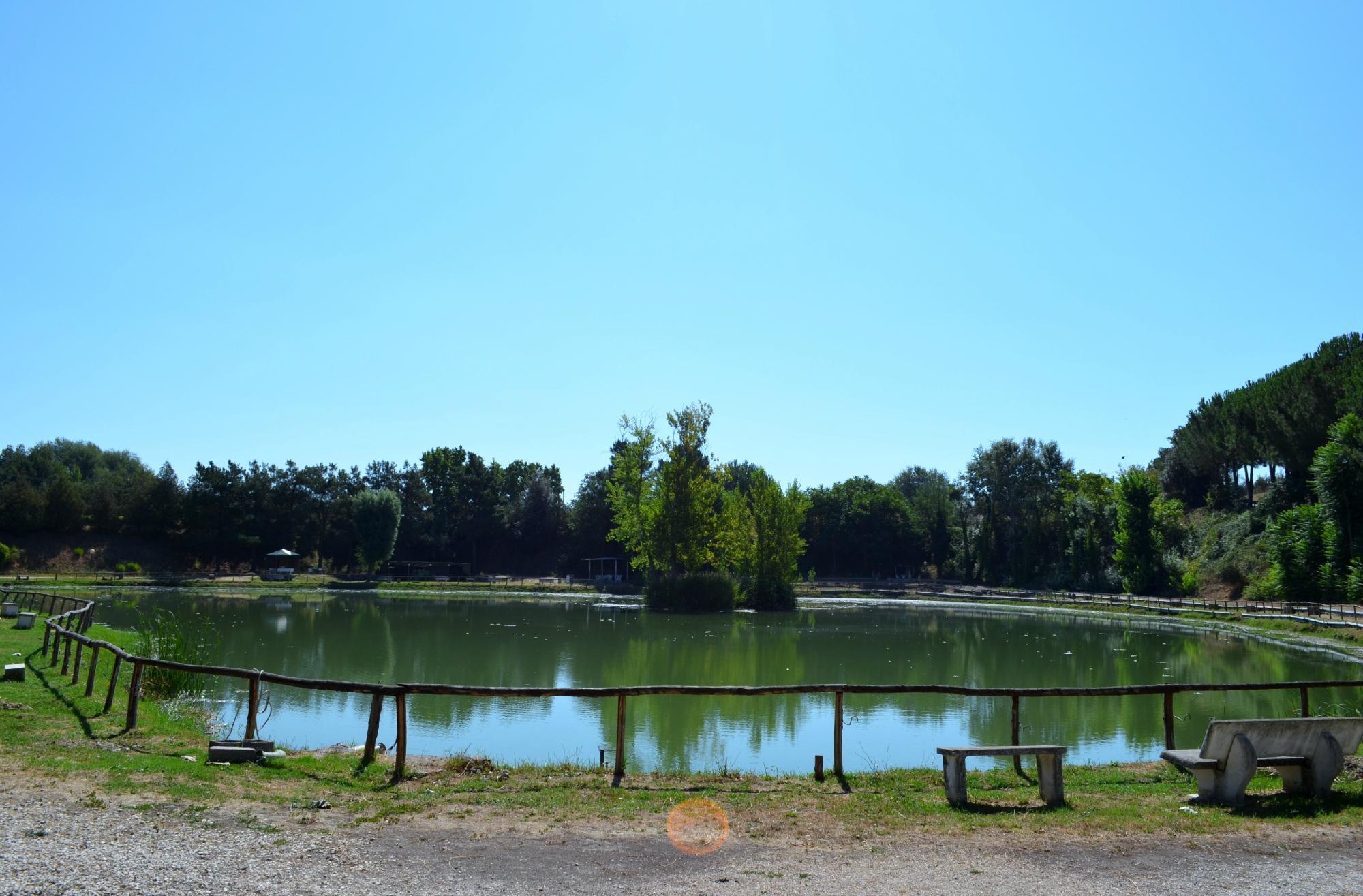 Verde Oasi Associazione Sportiva Pesca