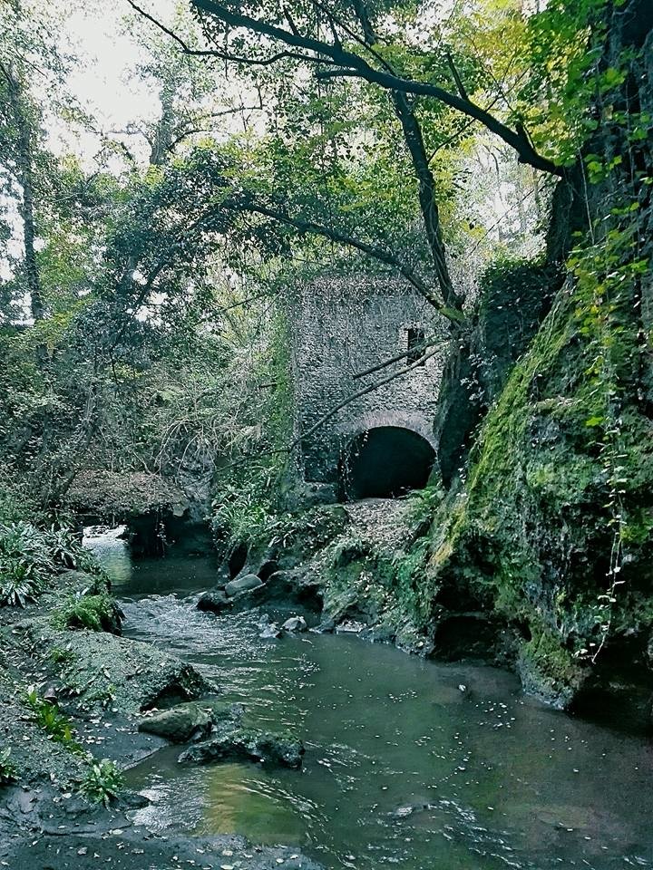 Monumento Naturale di Galeria Antica