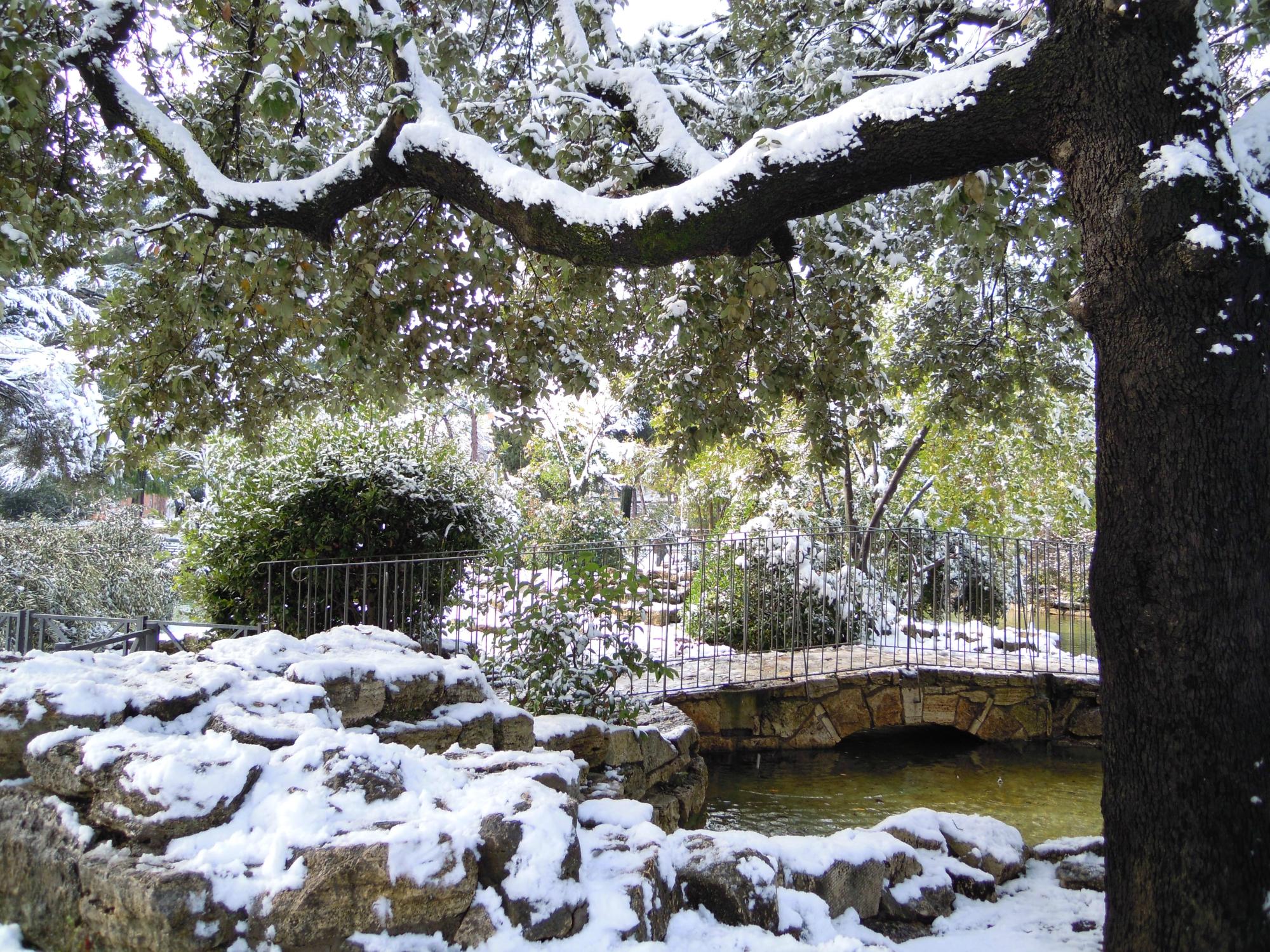 Parco Nemorense o Virlgiliano