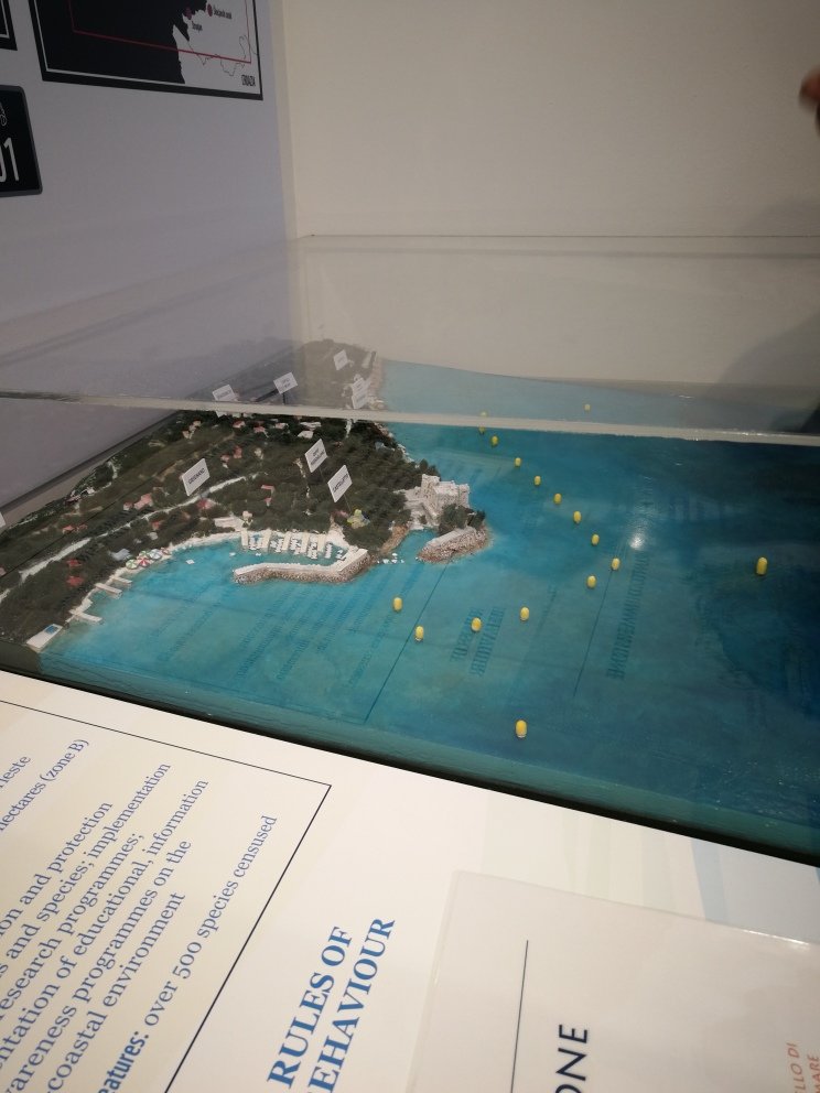 Biodiversitario Marino - Museo immersivo dell'Area Marina Protetta di Miramare