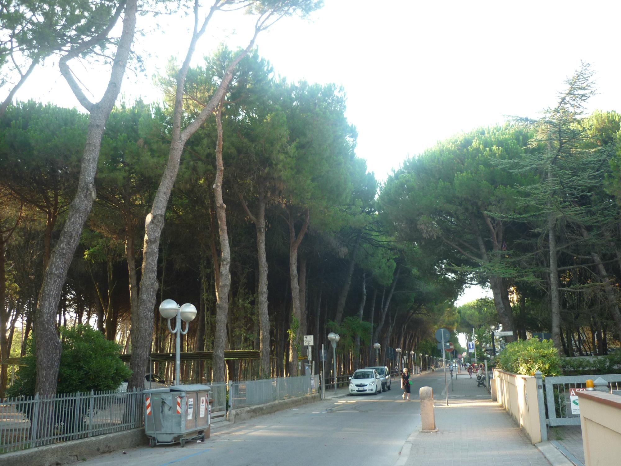 Pineta di Pinarella e Tagliata