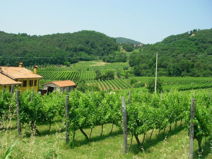 Veneto Italy and Wine