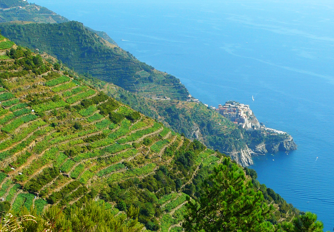 CTTours - Cinque Terre Private Tours and Shore Excursions