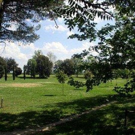 Parco delle Cascine di Tavola