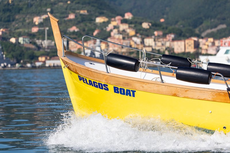 5 Terre Pelagos Boat Tours
