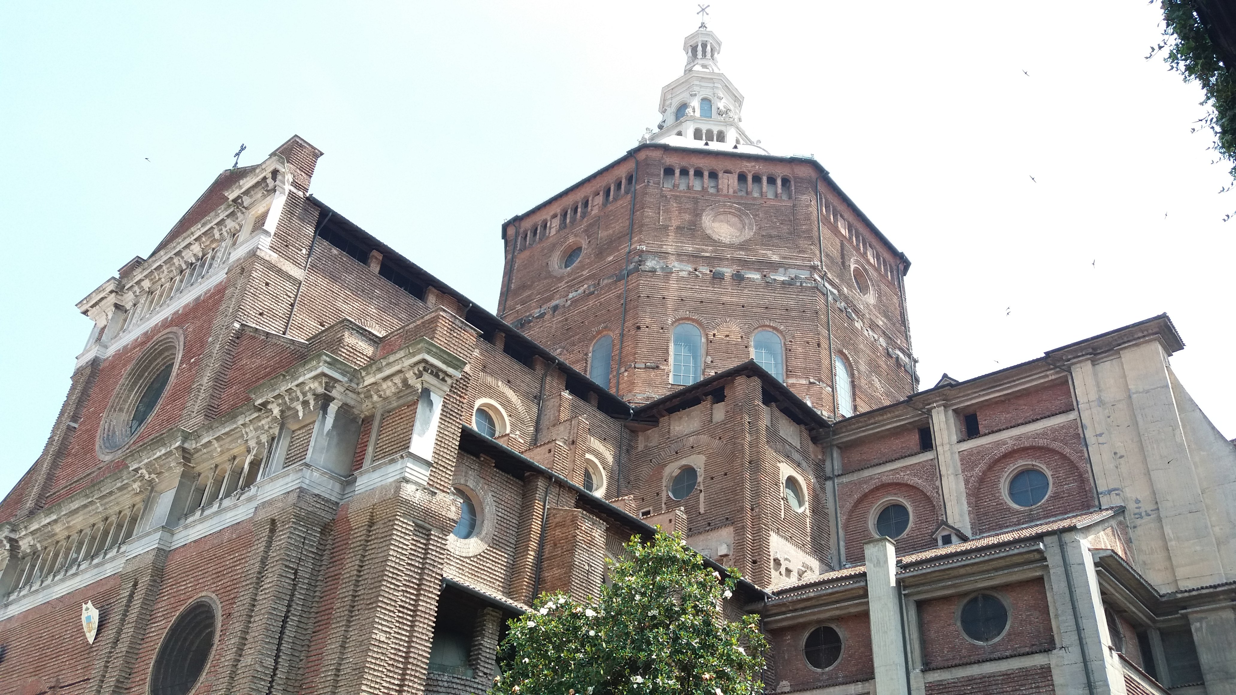 Duomo Di Pavia