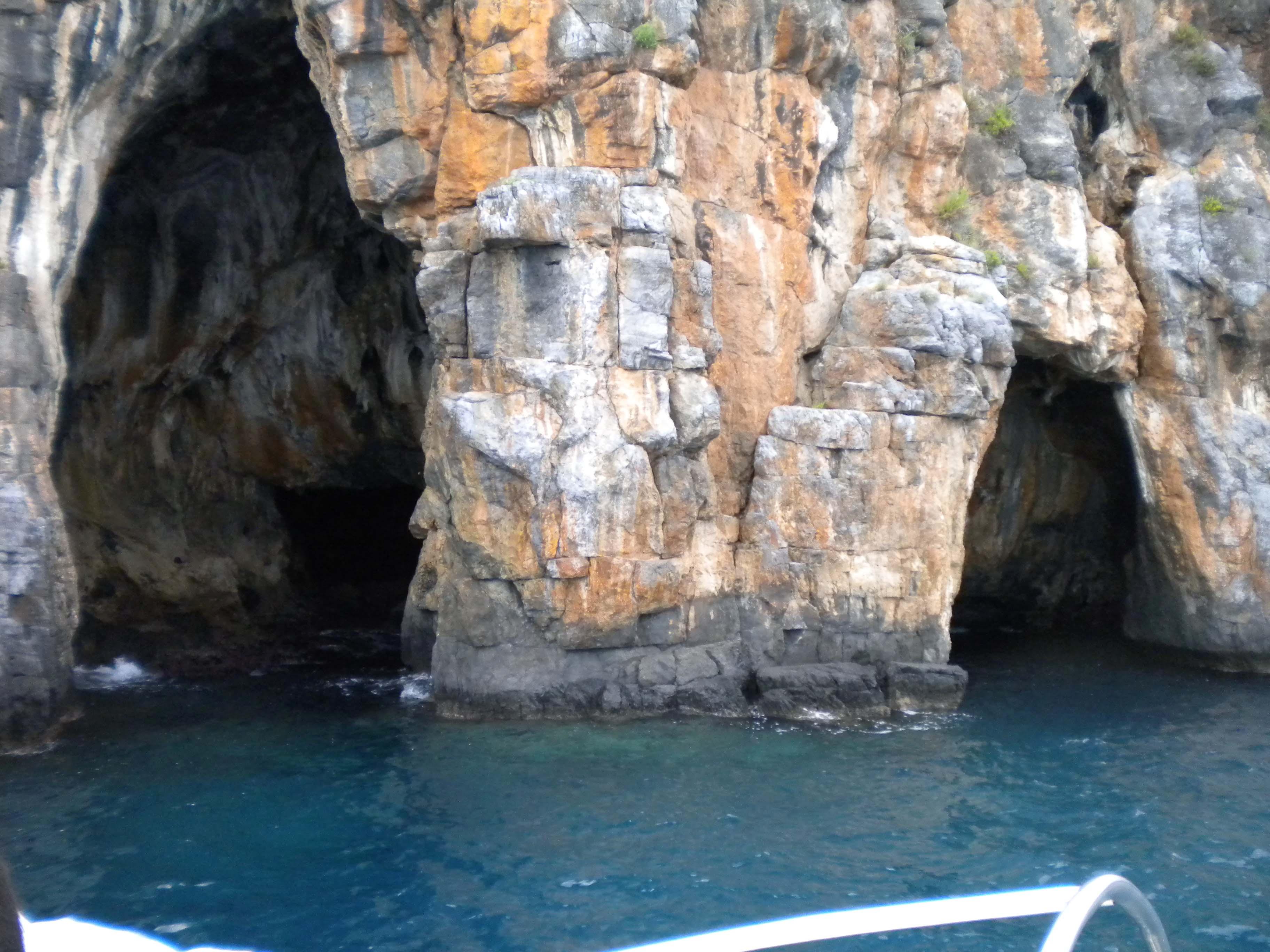 Cooperativa Cilento Mare