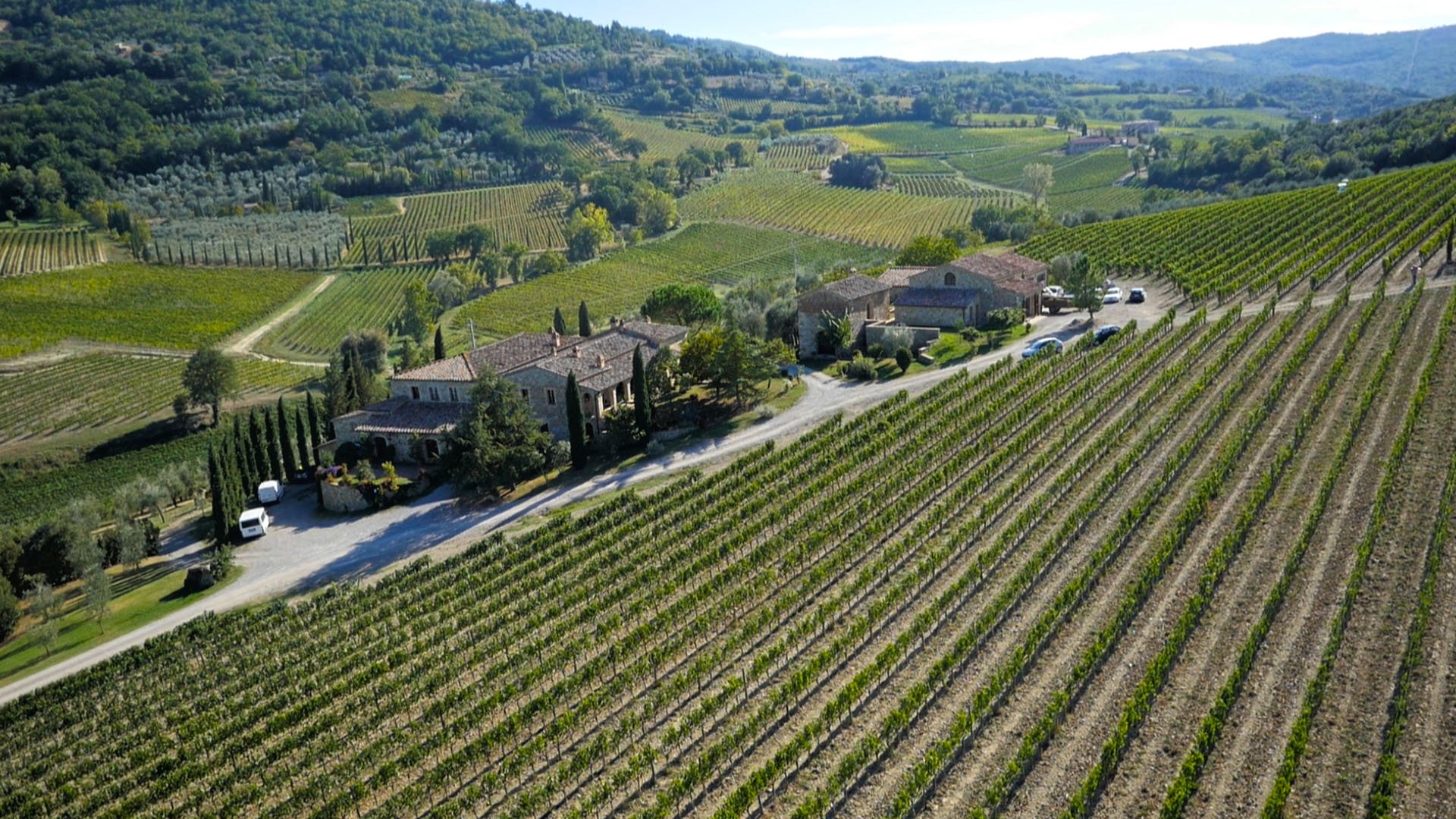 Azienda Agricola Capanna di Cencioni