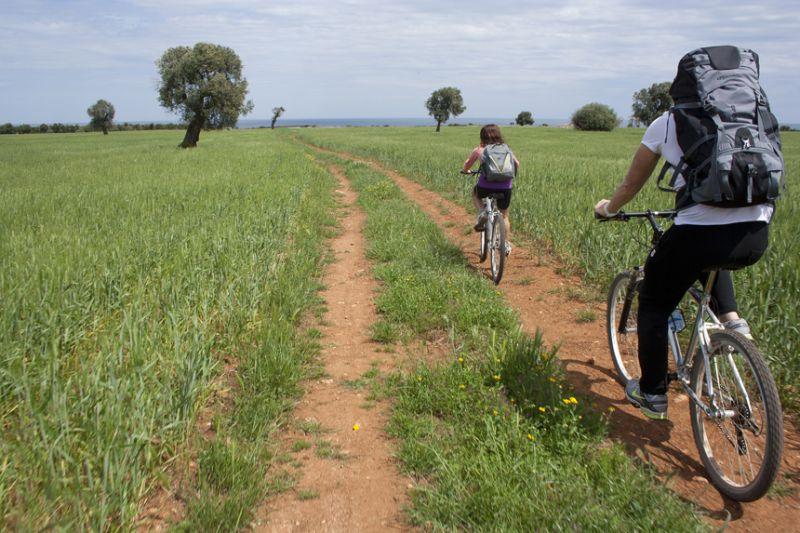 Parco Dune Costiere