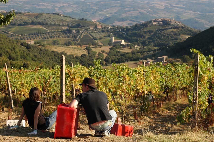 Montalcino Wine Tours