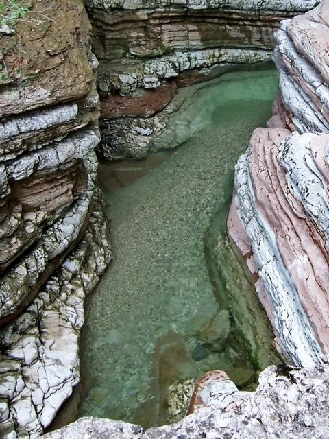 Forre del Torrente Ardo