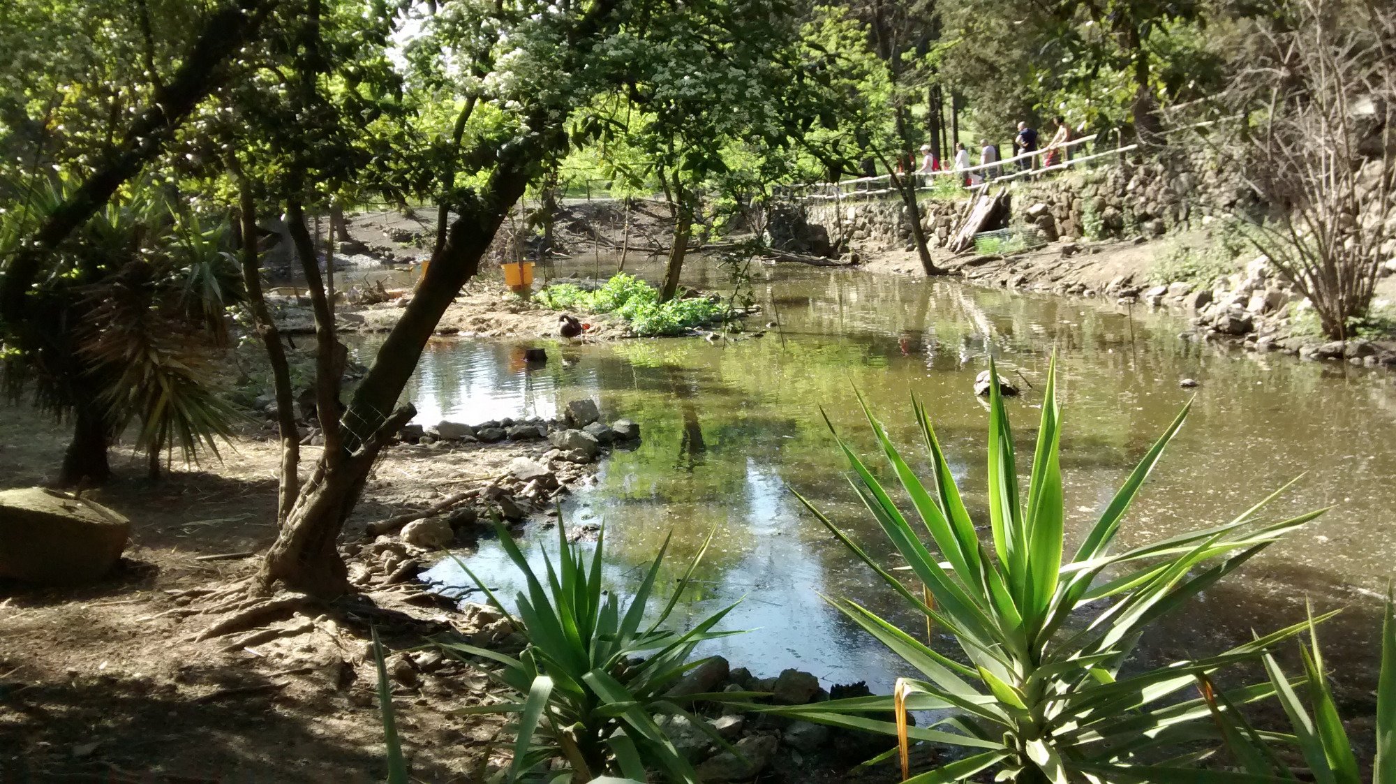 CSN Centro di Scienze Naturali