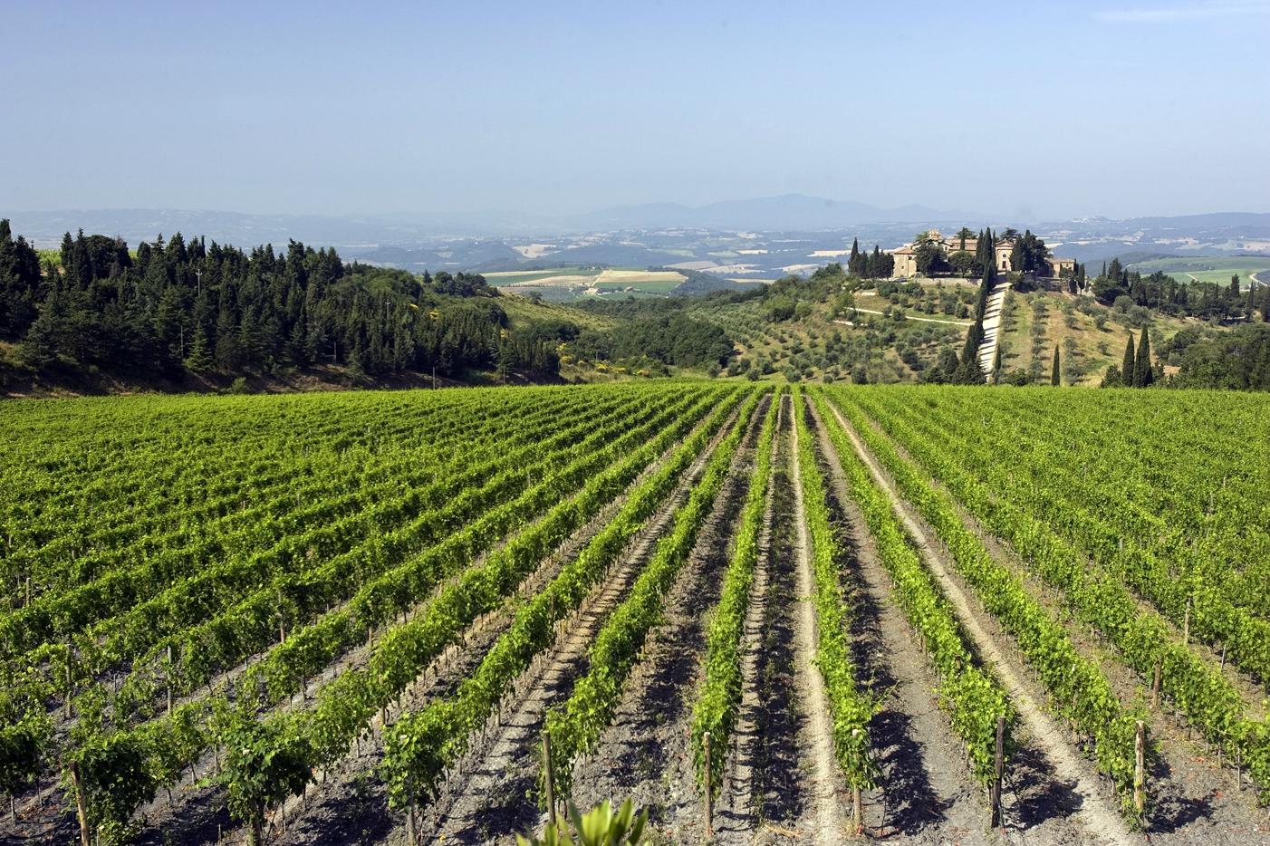 Tenuta di Castelgiocondo