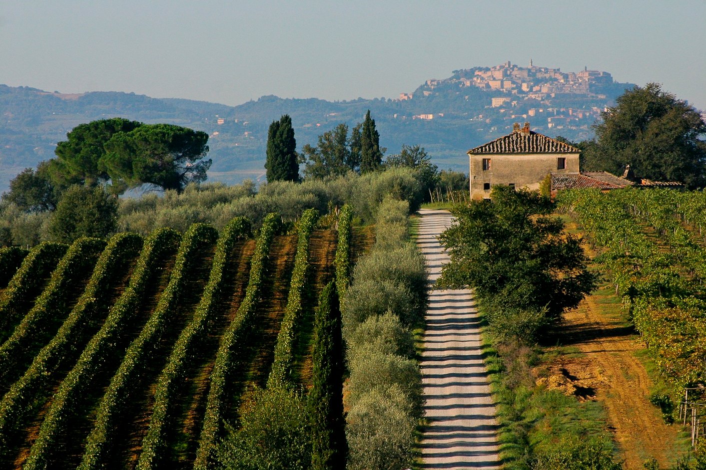 Strada del Vino Nobile di Montepulciano e dei Sapori della Valdichiana Senese