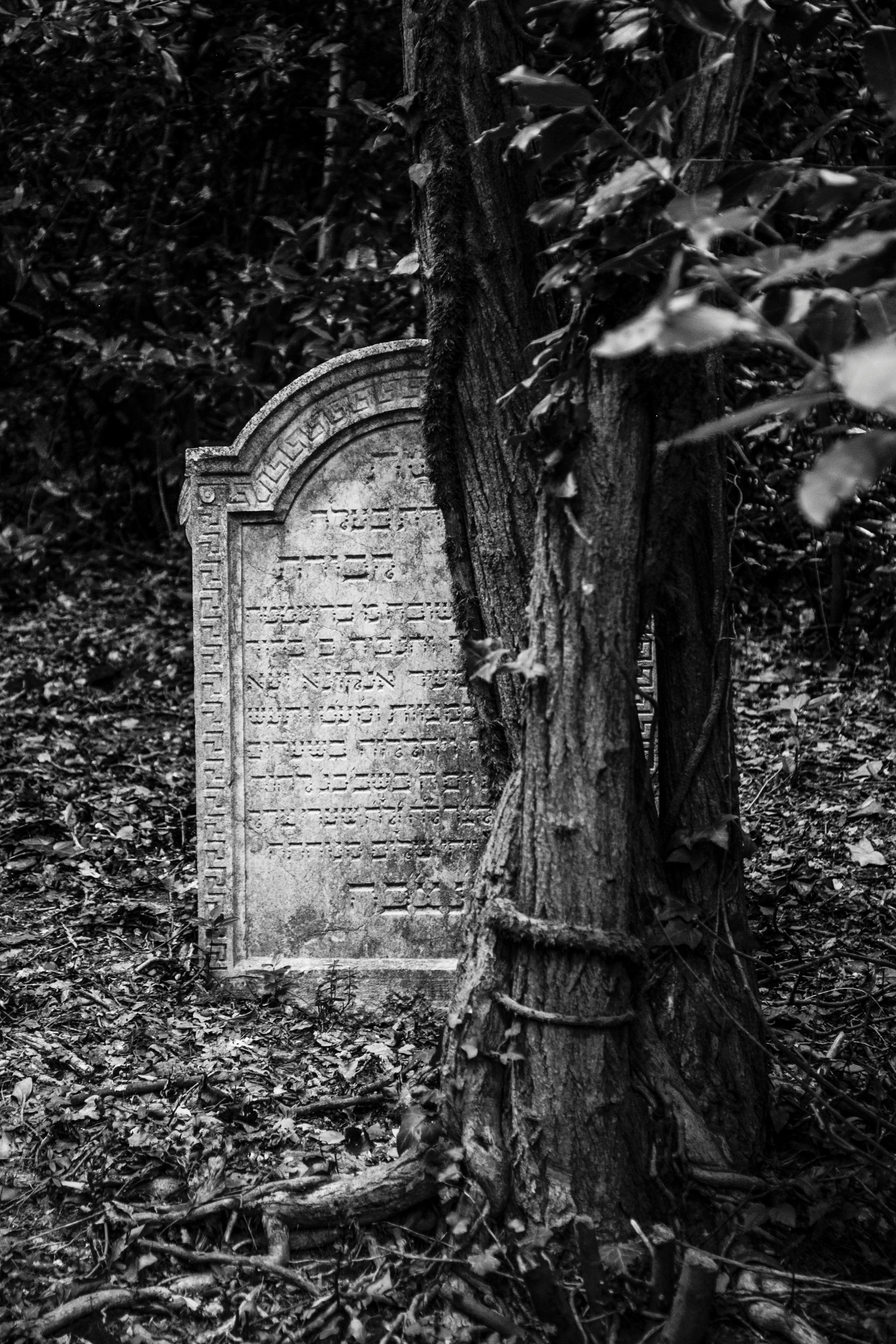 Cimitero Ebraico