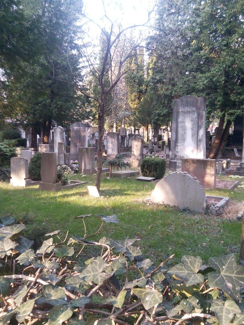 Cimitero Ebraico