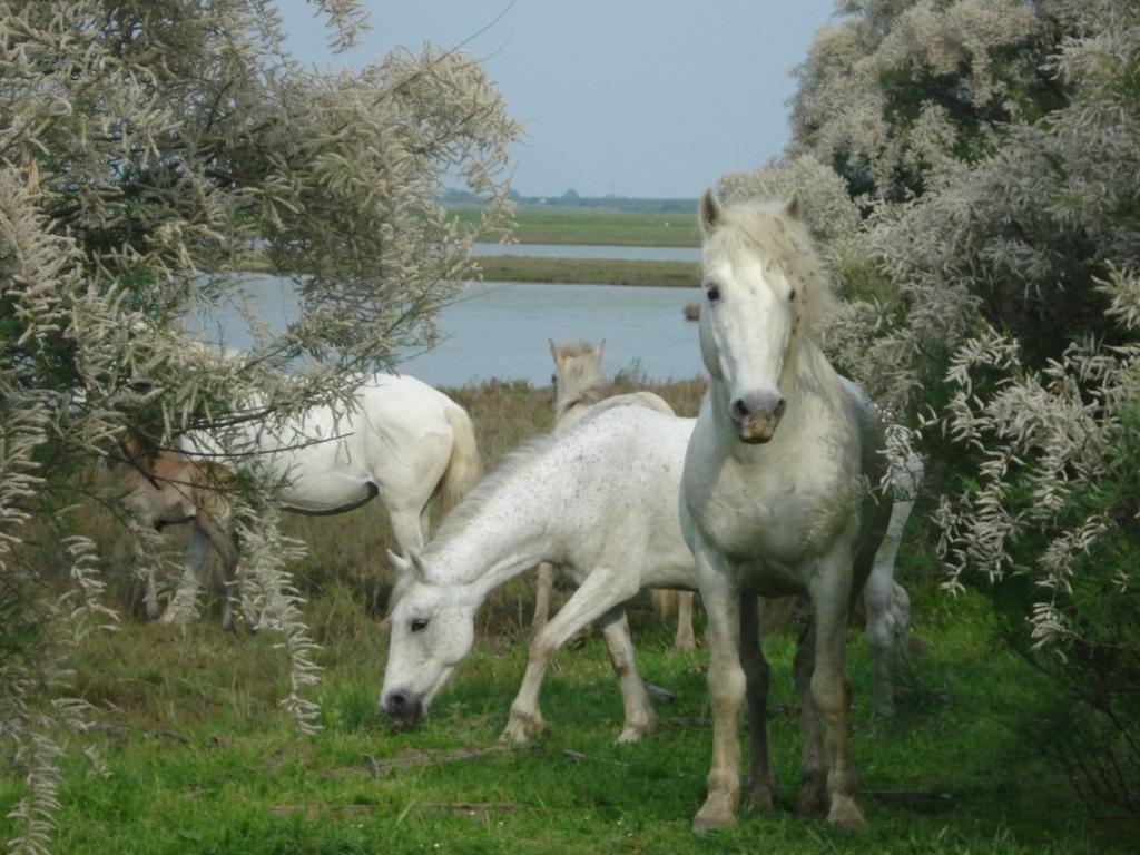 Museo NatuRa