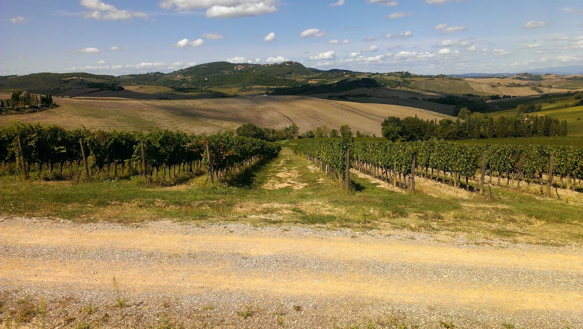 Azienda Agricola Canneto