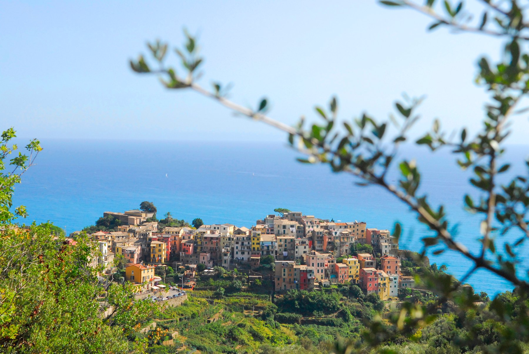 Cinque Terre Tours