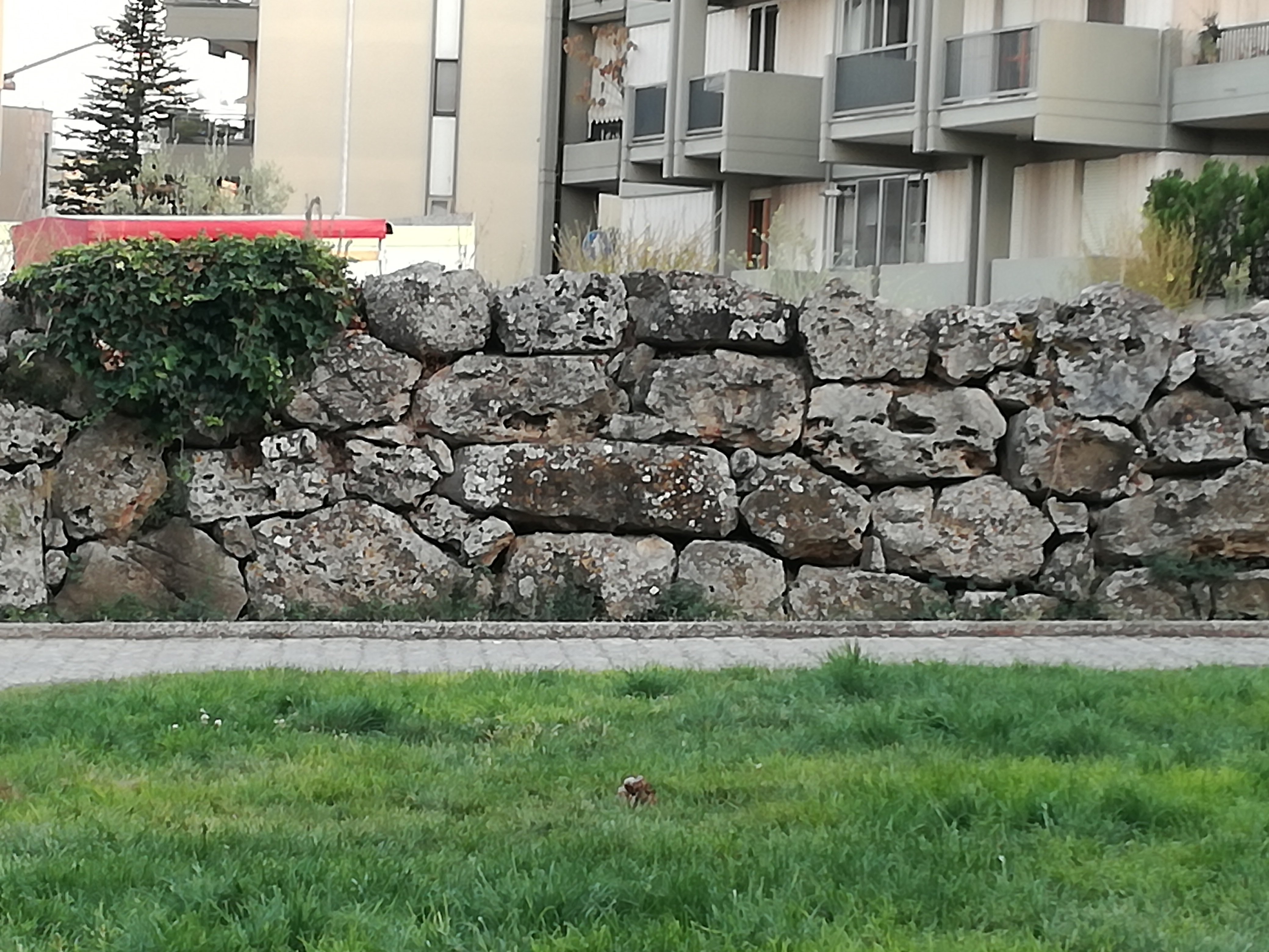 Mura Megalitiche