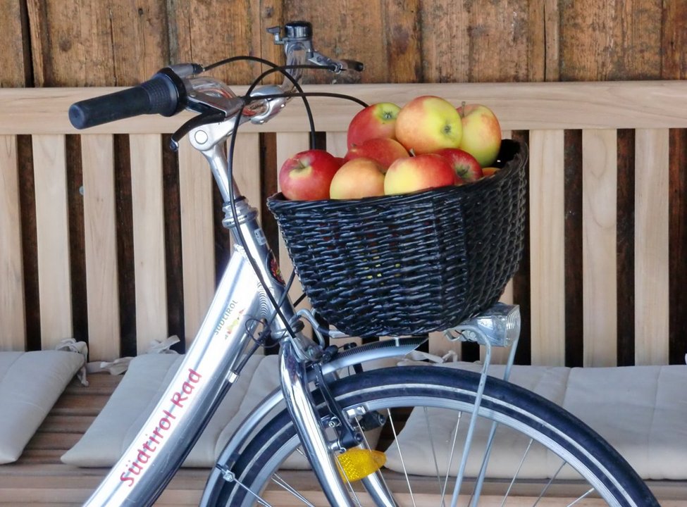 Bici Alto Adige - Noleggio Bici