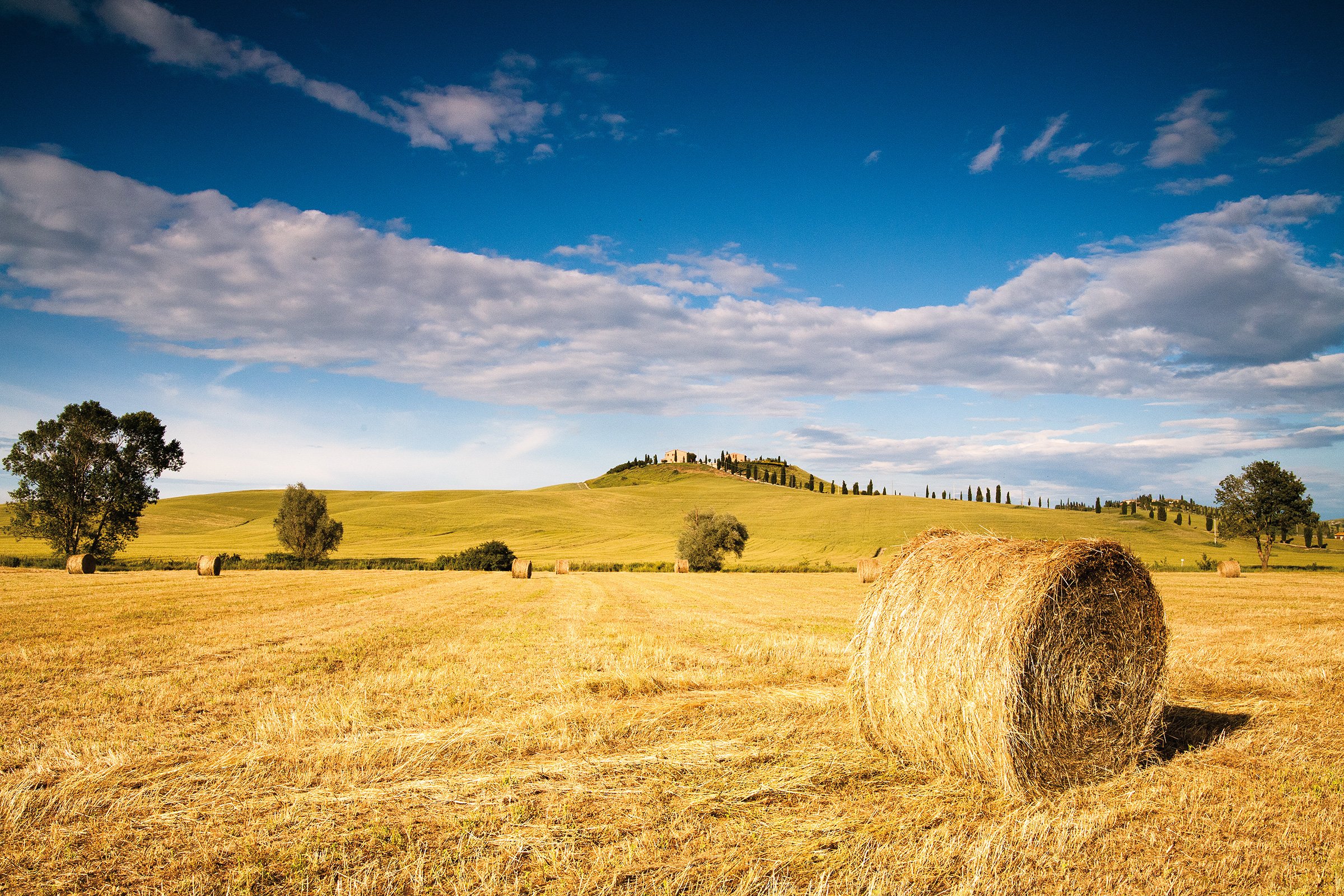 Cortona Private Tours