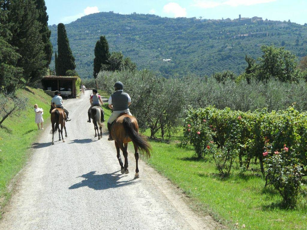 Agriturismo Il Frantoio