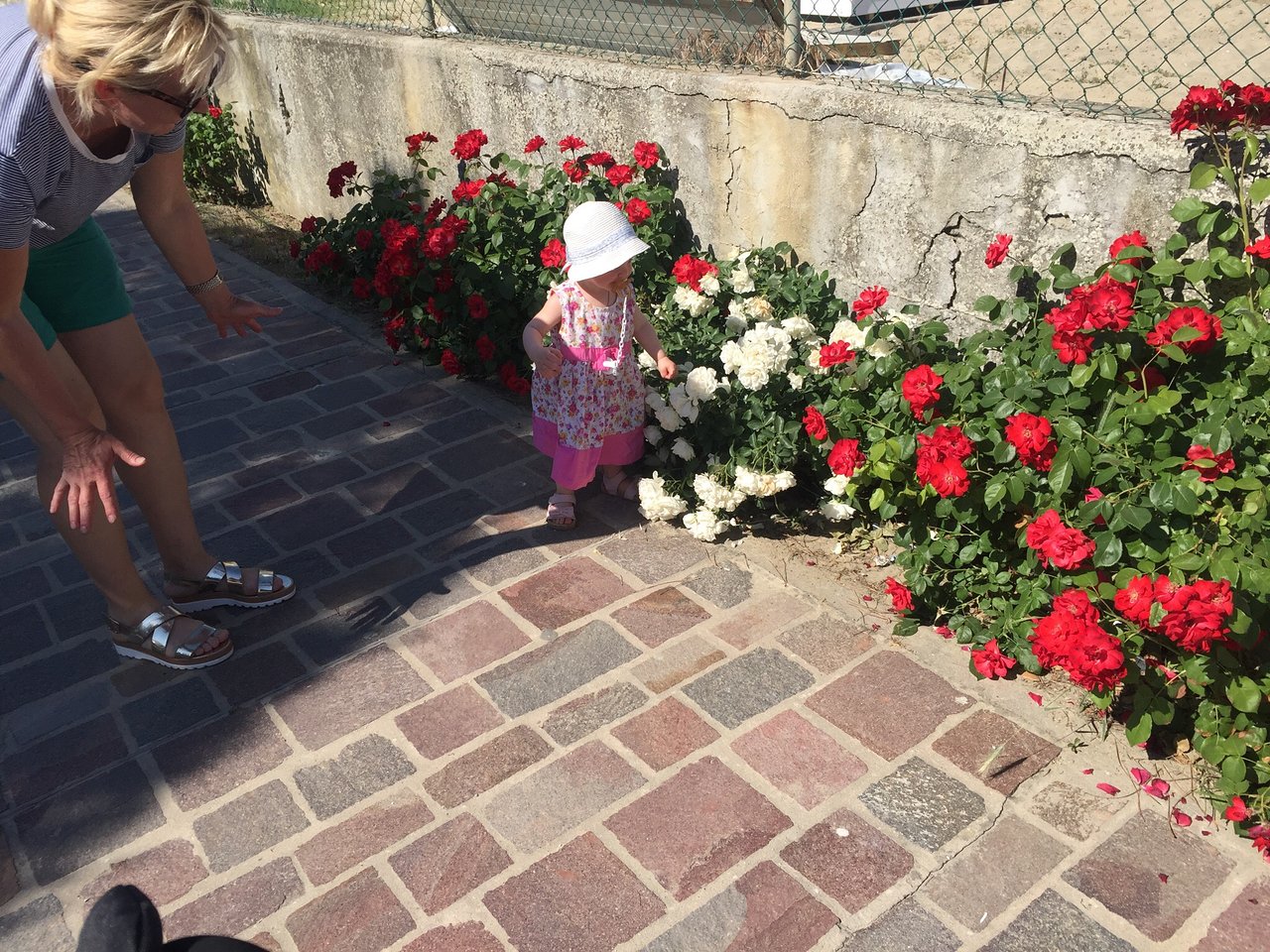 Bar Pizzeria Noi & Marilyn