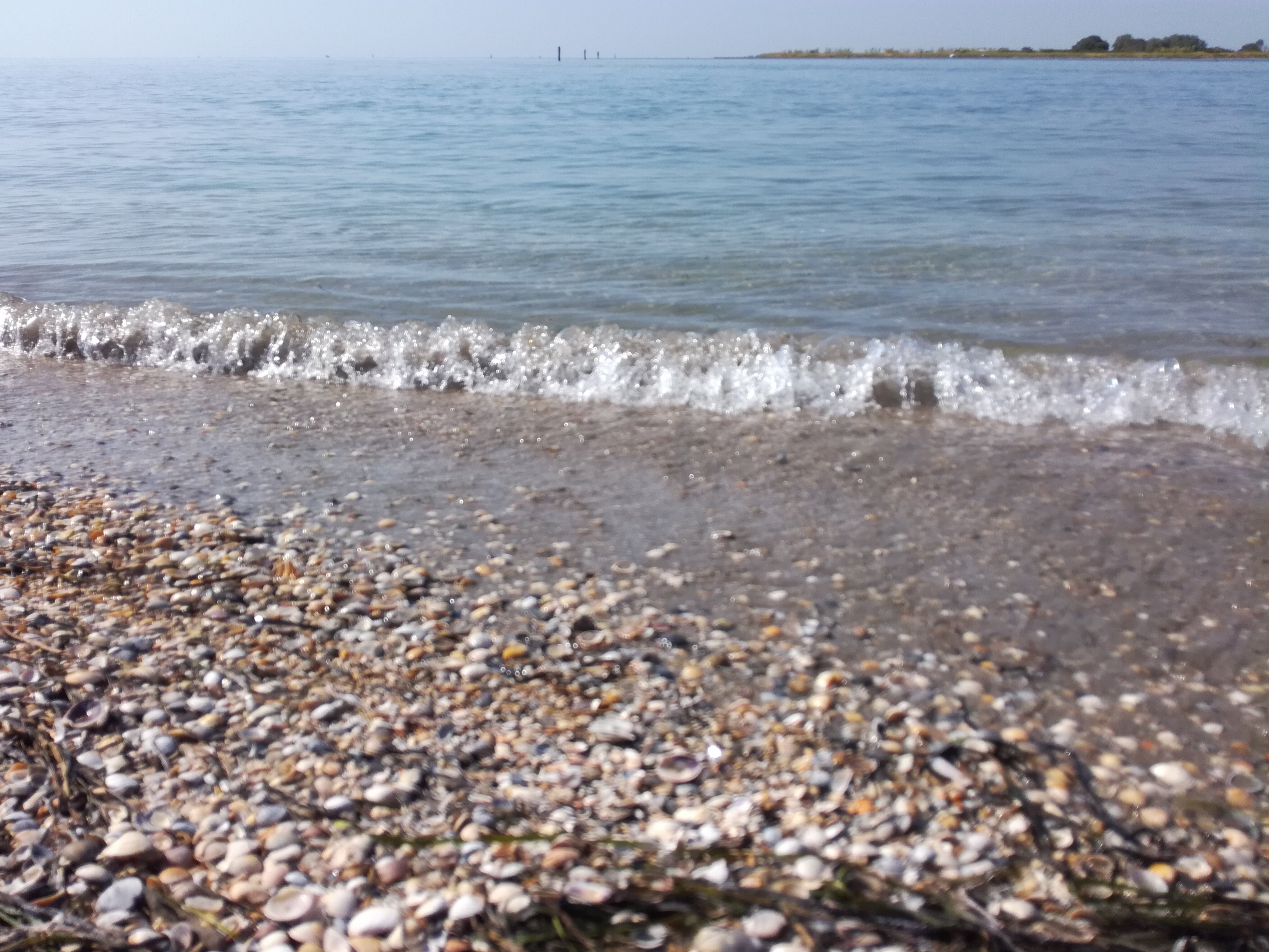 Escursione all'isola delle Conchiglie