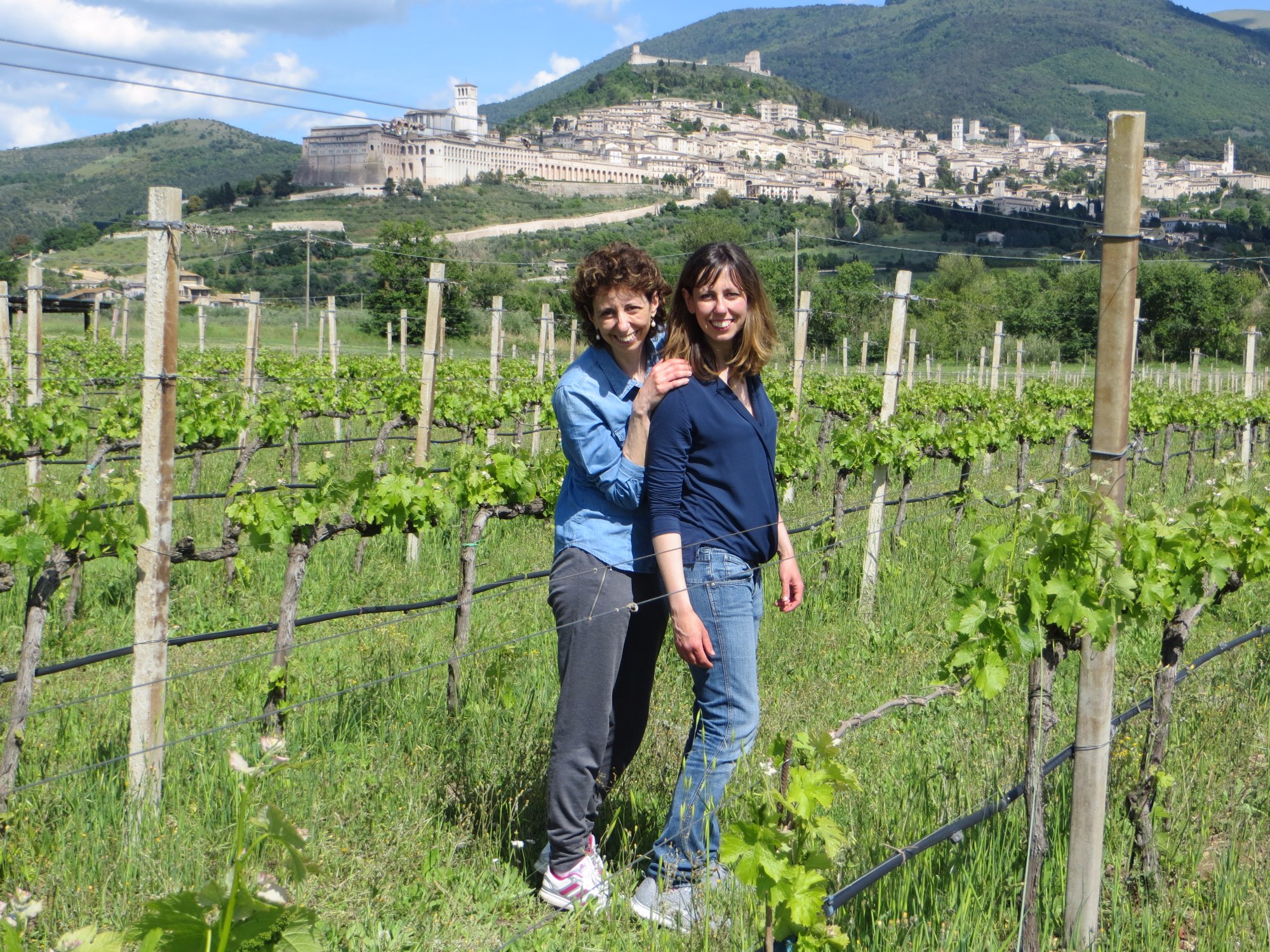 Azienda Agraria Saio