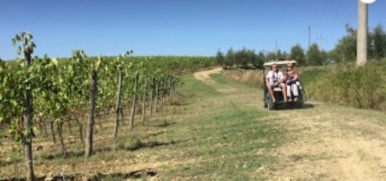 Eco Wine Tour in Tuscany