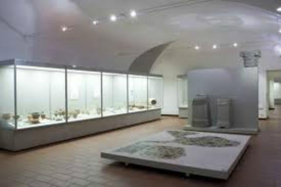 Museo di Storia Naturale di Lecco