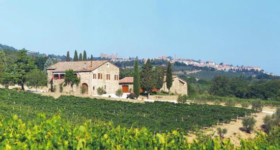 Azienda Agricola Palazzo Montalcino