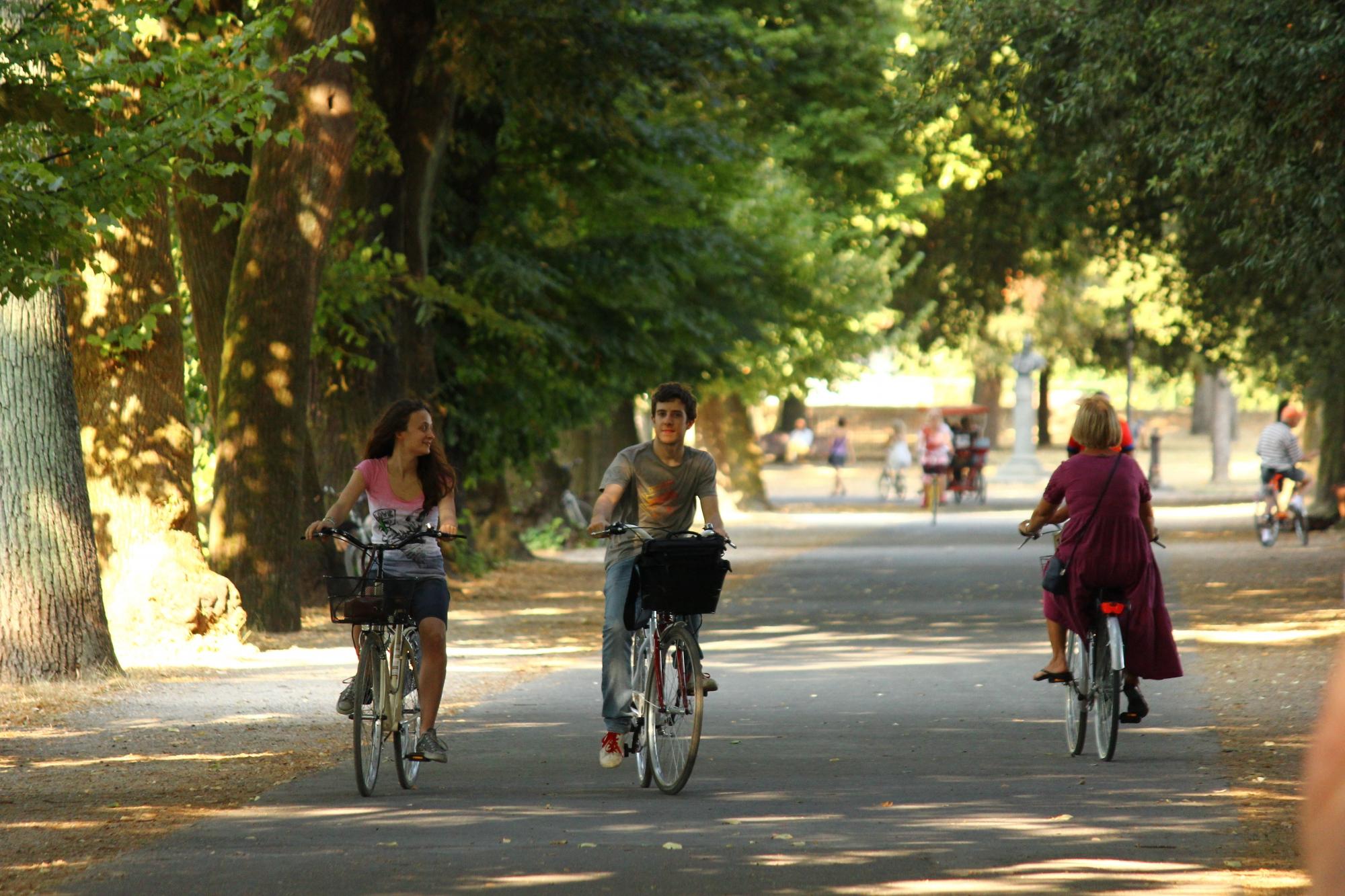 Tourist Center Lucca