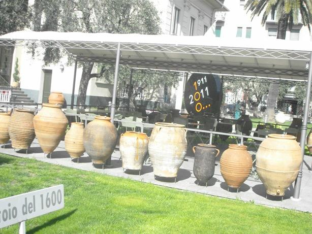 Museo dell'Olivo