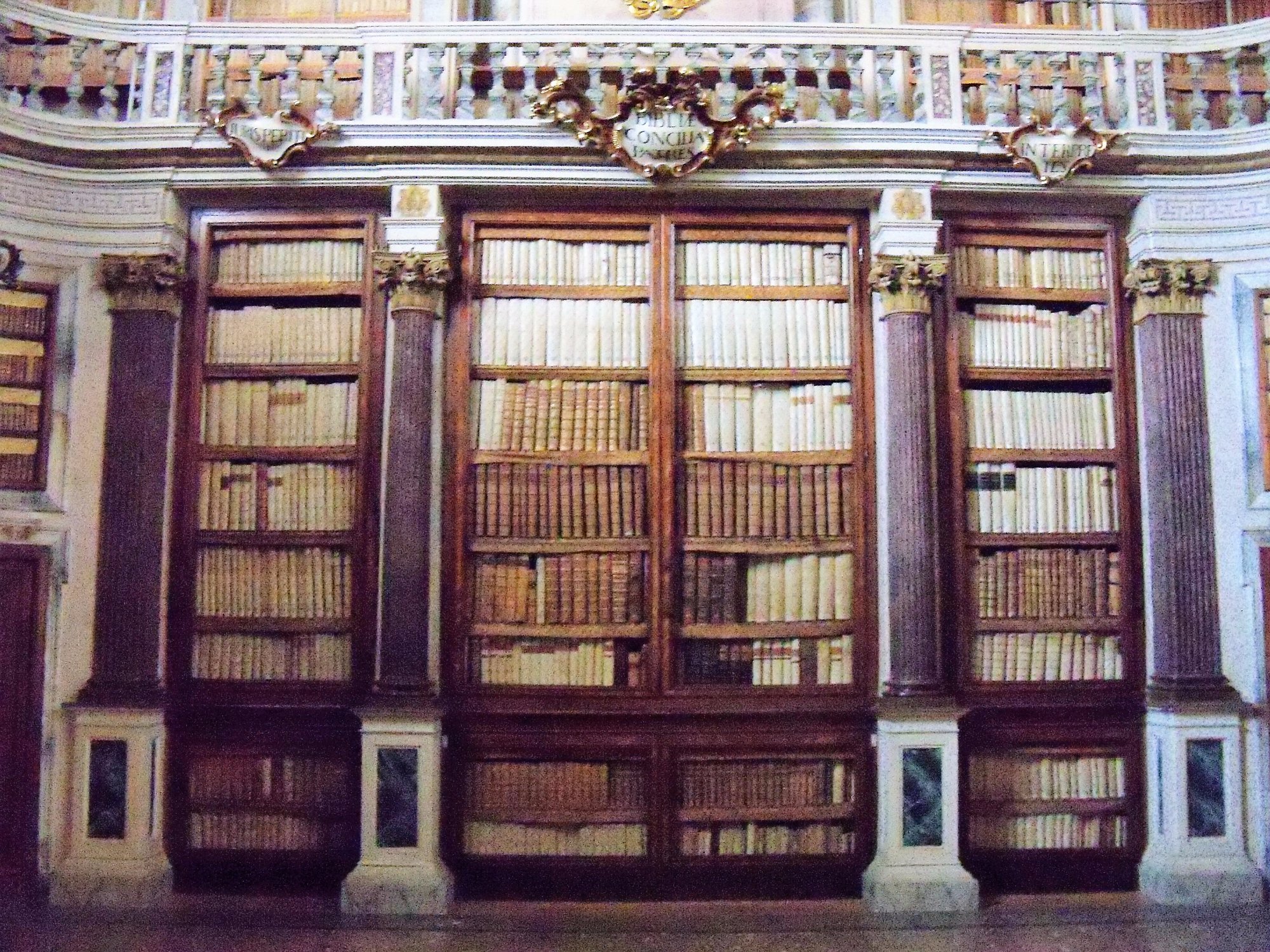 Bim Biblioteca comunale di Imola