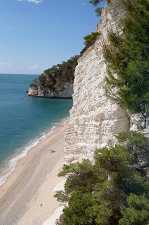 Spiaggia di Vignanotica