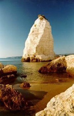 Spiaggia del Pizzomunno