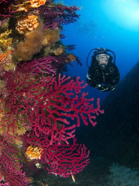 Nautilus Diving Center