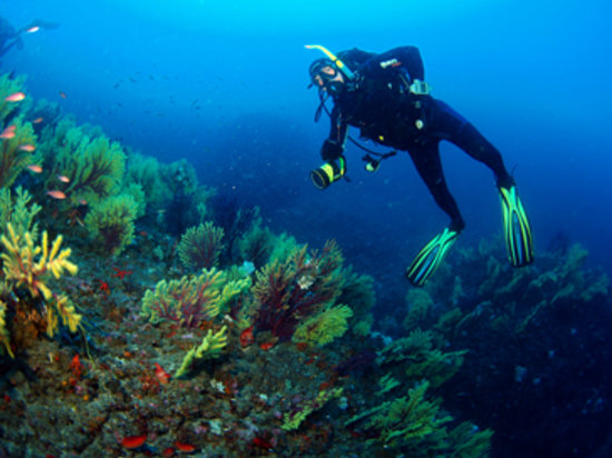 Taormina Diving Center