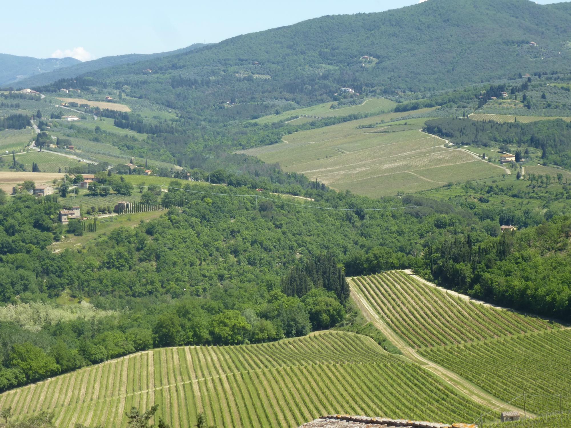 Castello di Verrazzano