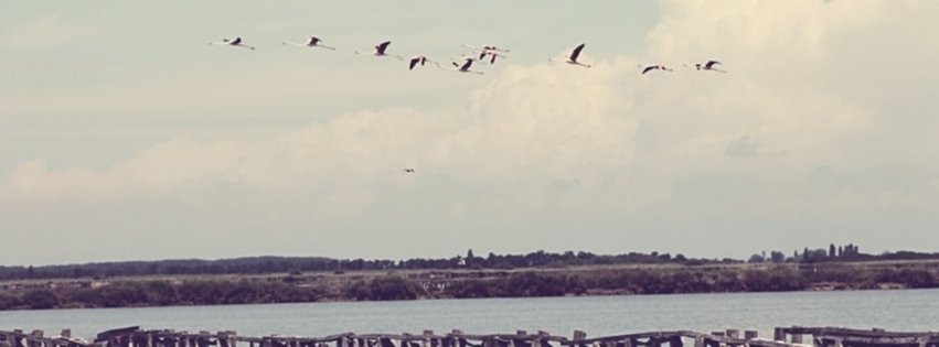 Valle Campo