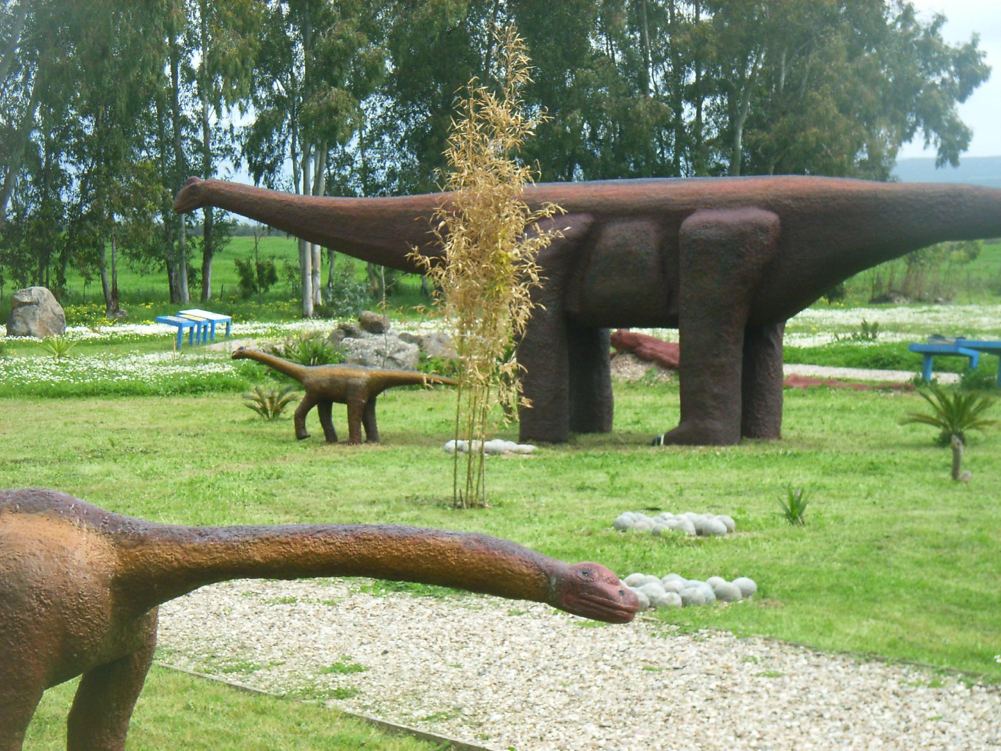 Parco Paleontologico Dinosardo