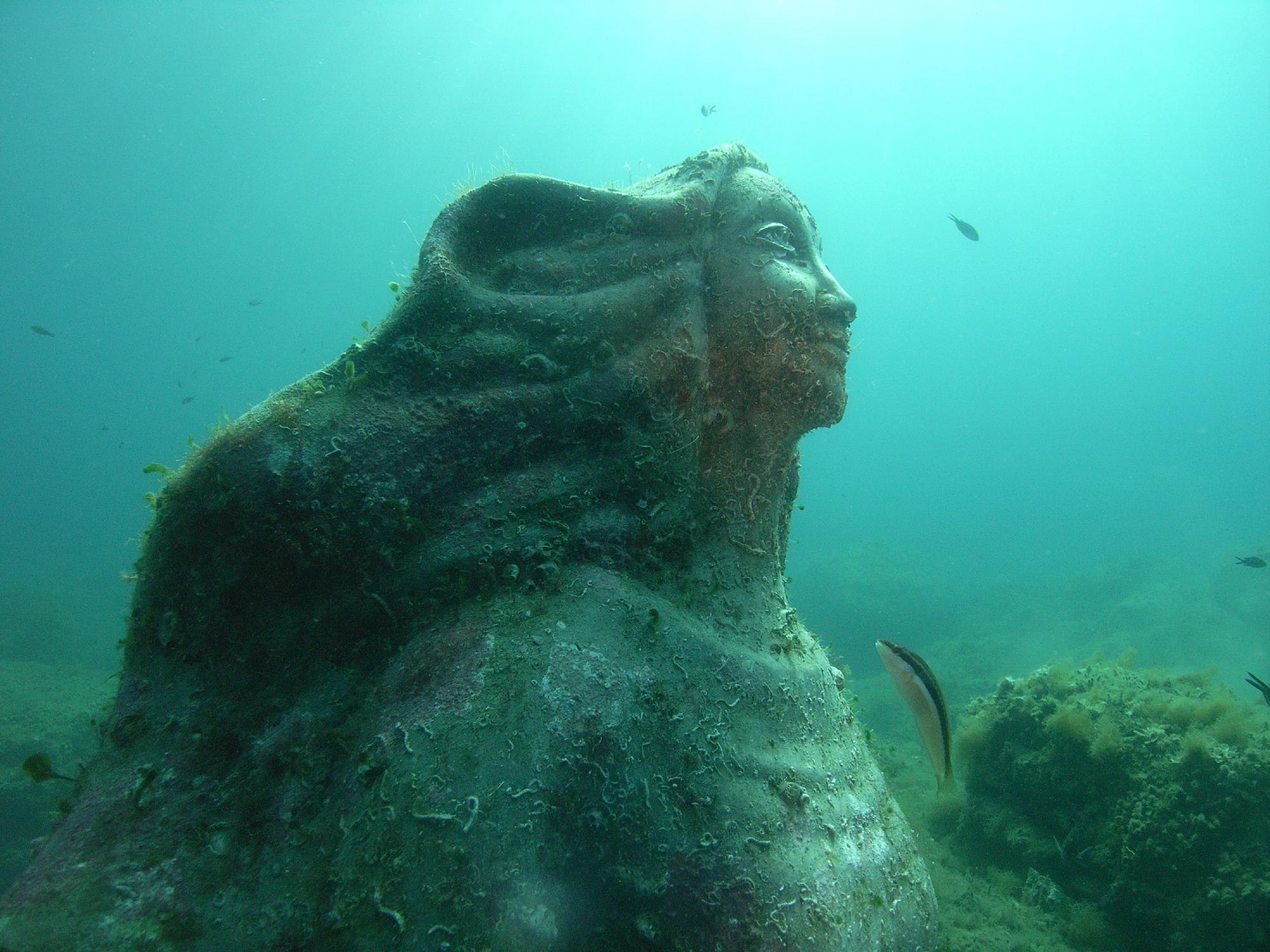 Tortuga Diving Portofino