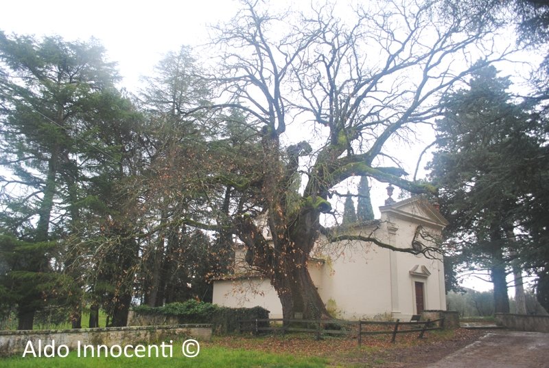 Chiesa Santa Margherita a Caserotta