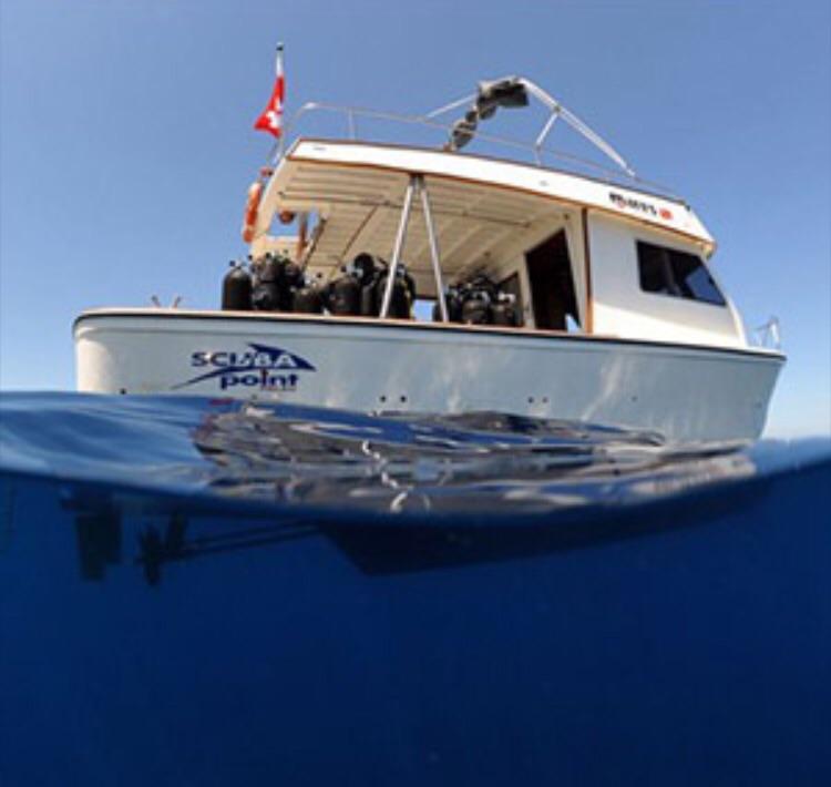 Scuba Point Palau