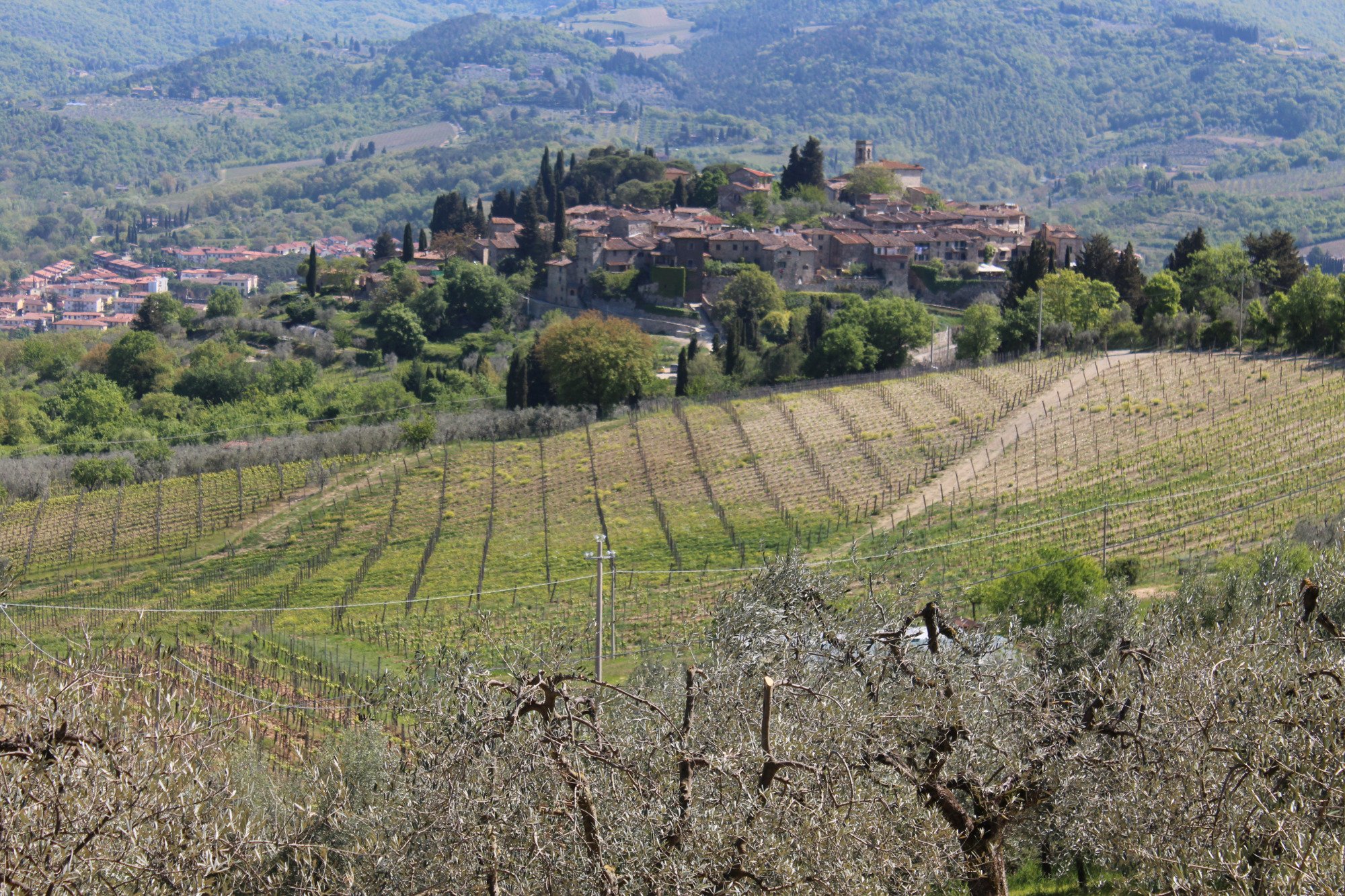 Borgo Murato di Montefioralle